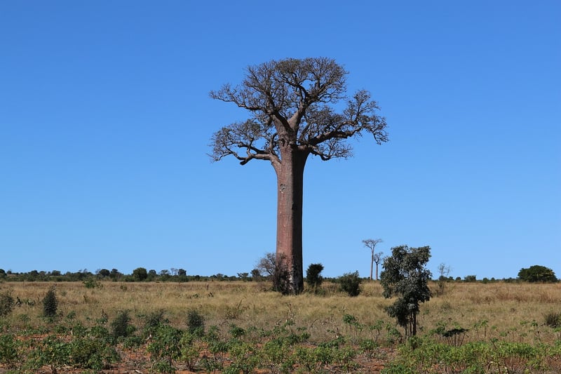 Unusual Discoveries